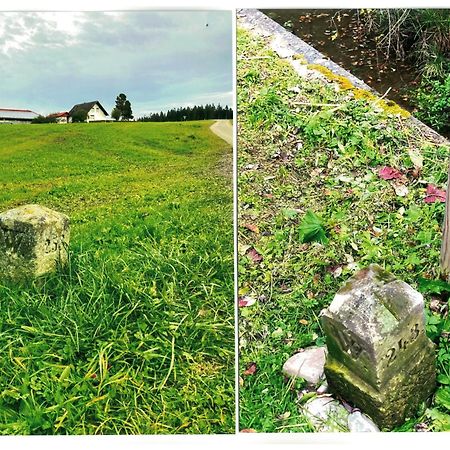 Landpension Sternberg Grunenbach Exterior foto